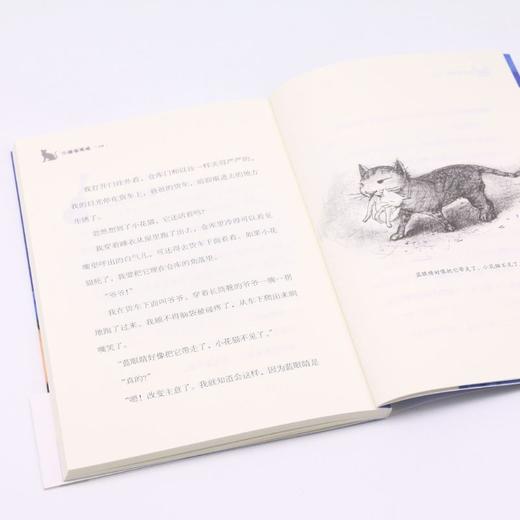 小猫蓝眼睛/金芦苇国际大奖书系 商品图4