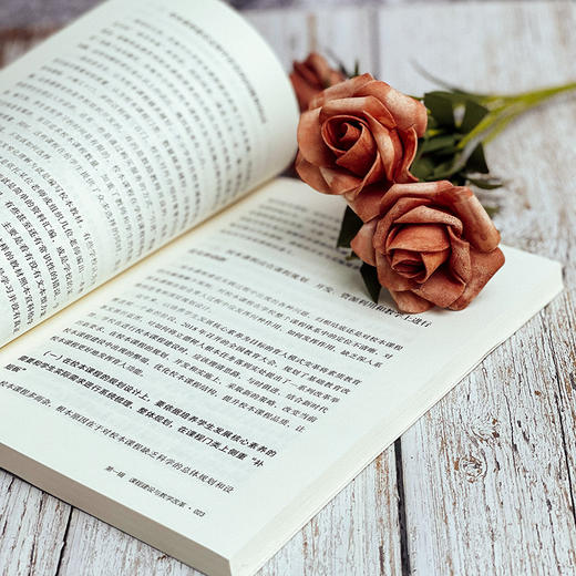 素养时代的教师专业成长 大夏书系 教师专业发展 卓越教师 汪瑞林 商品图8