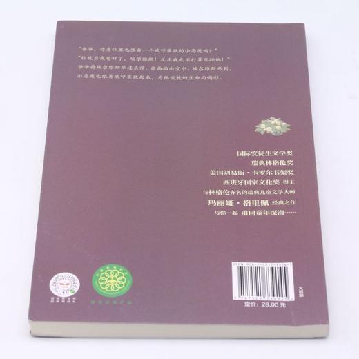 再见谎言之国/安徒生奖大师经典埃尔维斯成长记 商品图3