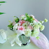 【你若成风】粉色系玫瑰4 白色百合1朵 绿色洋桔梗6朵 白色洋桔梗4朵 粉色康乃馨4 斑纹小菊1 茉莉花3（提拉米苏设计） 商品缩略图4