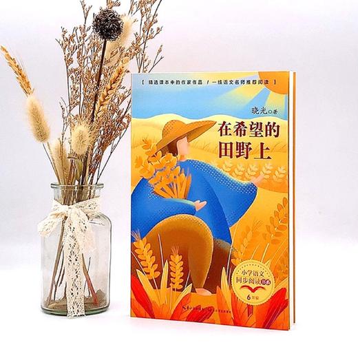 在希望的田野上(6年级)/小学语文同步阅读书系 商品图4