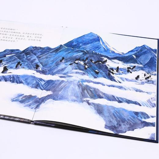 丹顶鹤的旅程(精)/我的飞鸟朋友 商品图4