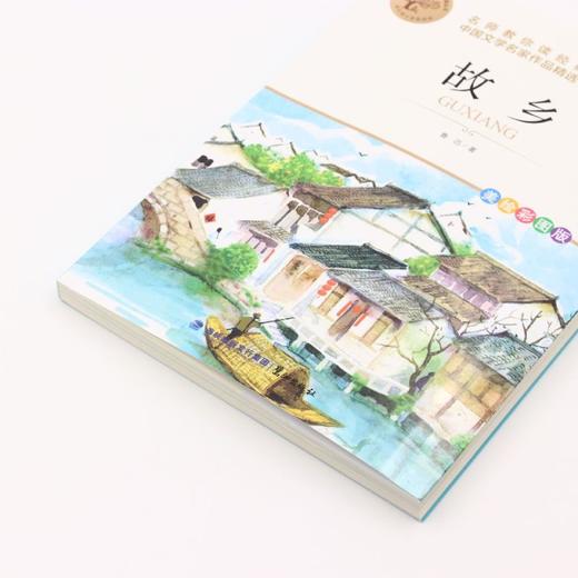 故乡(美绘彩图版名师教你读经典)/小学语文课外阅读经典丛书 商品图2