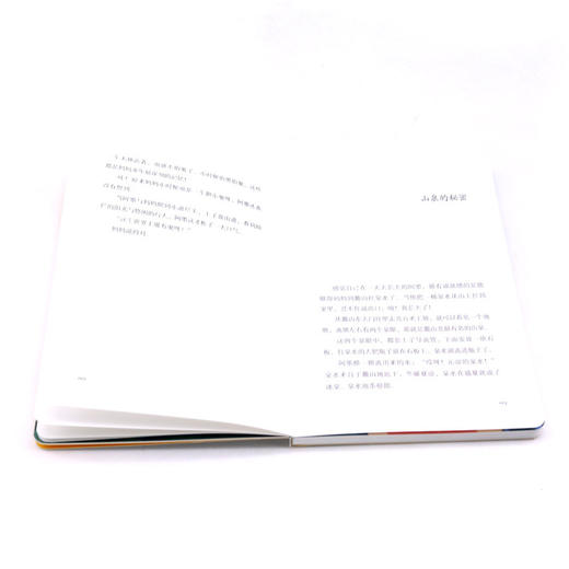 骑云而来的鹰/男孩阿墨系列 商品图4