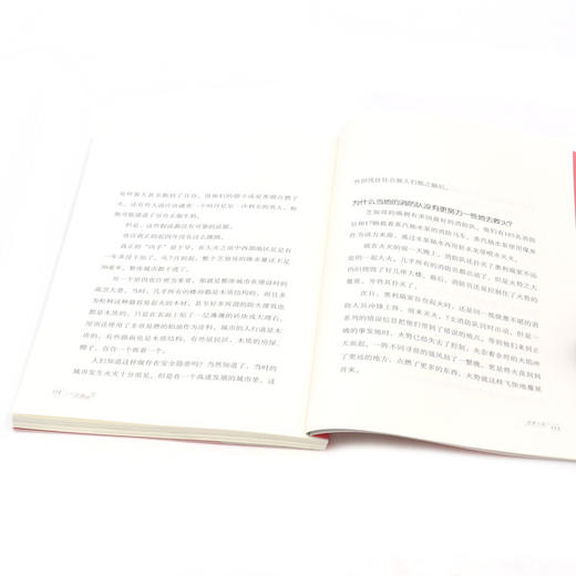 逃离火海/灾难求生 商品图4