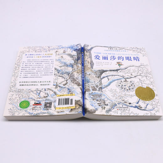 爱丽莎的眼睛/国际大奖小说 商品图3