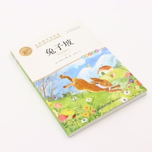 兔子坡(美绘彩图版名师教你读经典)/小学语文课外阅读经典丛书 商品图1