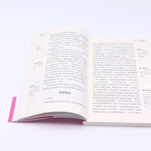 爱的教育(无障碍精读版)/快乐读书吧/爱阅读课程化丛书 商品图4