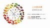 均衡膳食1  吃鸡蛋=高胆固醇？ 商品缩略图0