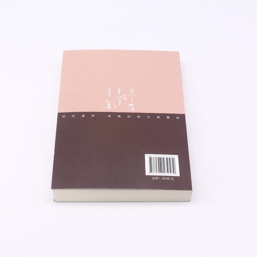 人形豹/明智小五郎系列/江户川乱步全集 商品图3