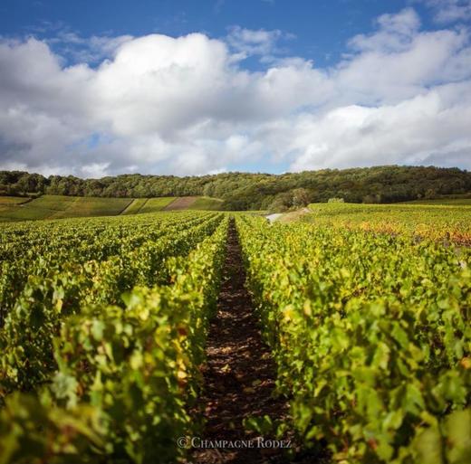 Eric Rodez Empreinte Blanche Chardonnay Grand Cru Brut Millésime 2010 瑞黛酒庄风土之印霞多丽干型年份香槟 2010 商品图4