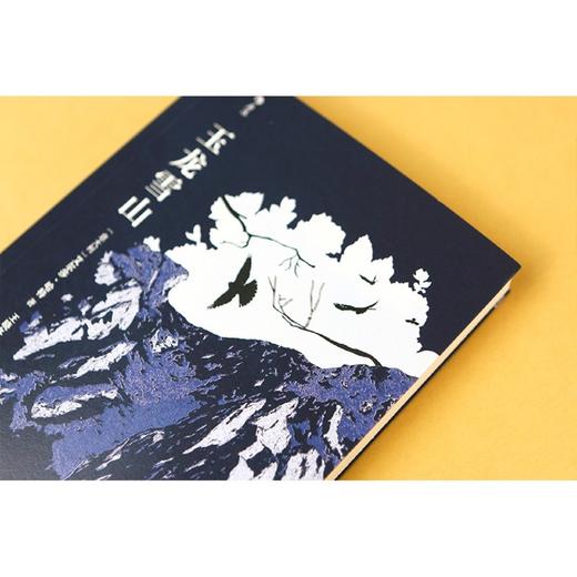 玉龙雪山 商品图4