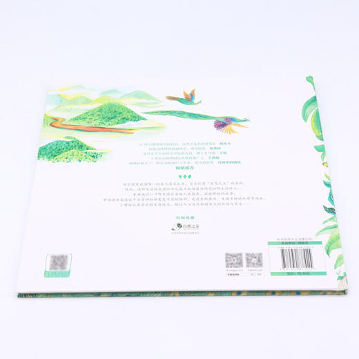 绿孔雀(我的家在哪里)(精) 商品图2