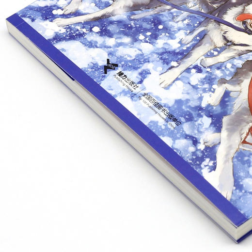 勇气/手斧男孩 商品图2