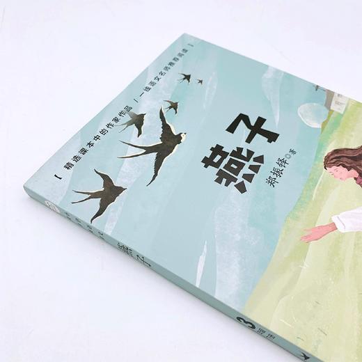 燕子(3下精美插图)/小学语文同步阅读 商品图3