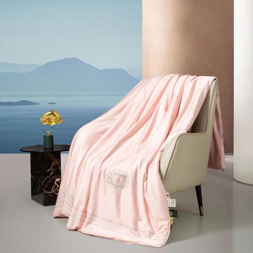 蚕丝被芯 1500g/3斤 商品图8