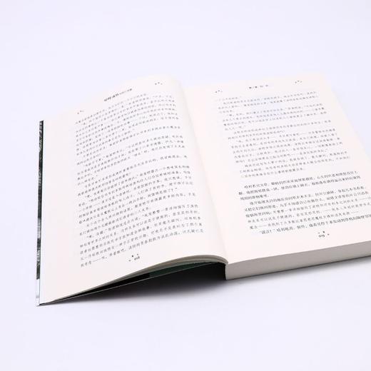 哈利·波特与死亡圣器 商品图4