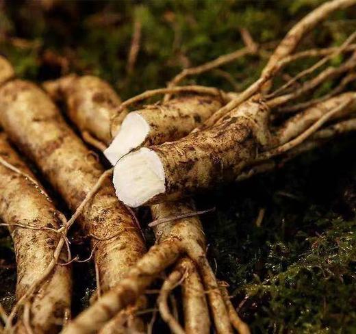 【每日食养】长白山鲜人参10支 商品图1