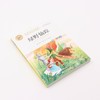 绿野仙踪(美绘彩图版名师教你读经典)/小学语文课外阅读经典丛书 商品缩略图1