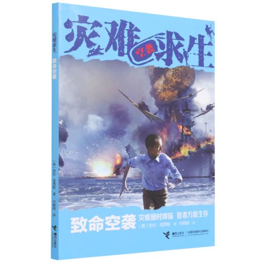 致命空袭/灾难求生 商品图0