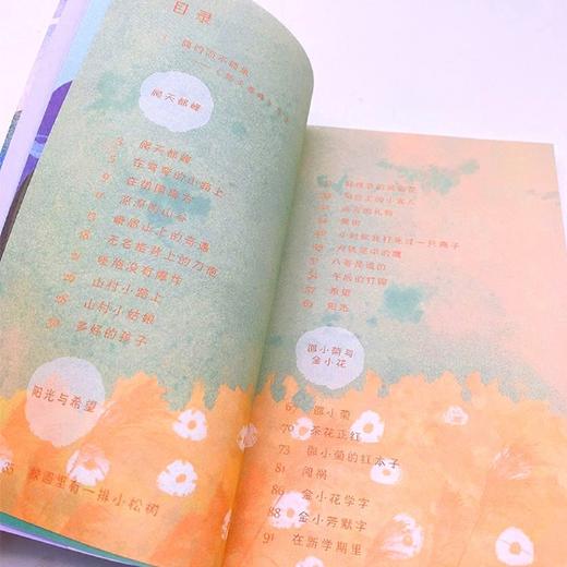 爬天都峰(4年级)/小学语文同步阅读书系 商品图1