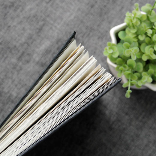 (仓发) 吸金广告文案写作训练手册/民主与建设出版社/朱雪强/9787513918770 商品图4