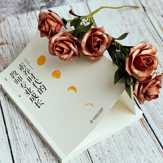 素养时代的教师专业成长 大夏书系 教师专业发展 卓越教师 汪瑞林 商品图5