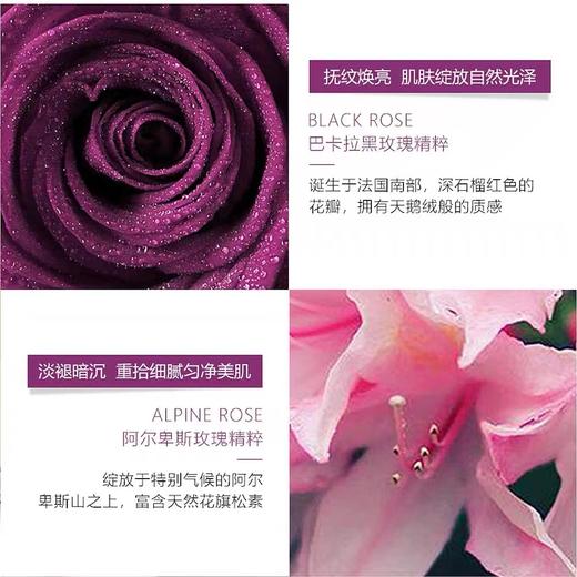 希思黎黑玫瑰精粹面霜50ml 商品图2