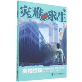 高楼惊魂/灾难求生