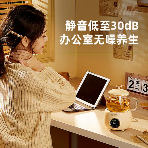 【坂田釜作】电炖养生杯 商品图2