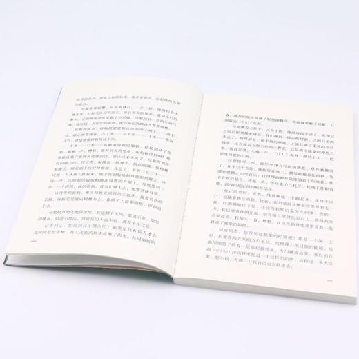 虎崽狗妈(升级版)/中外动物小说精品 商品图4
