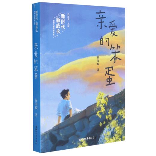 亲爱的笨蛋/新时代新成长原创儿童文学书系 商品图0