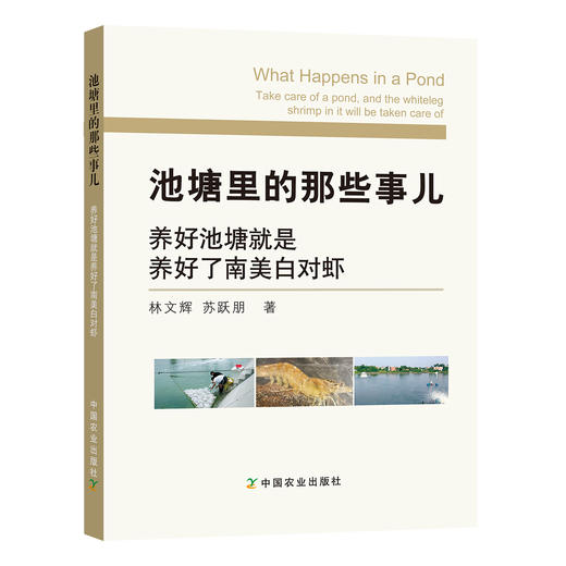 池塘里的那些事儿：养好池塘就是养好了南美白对虾 林文辉 苏跃朋 水产养殖 水产品 23621 商品图1