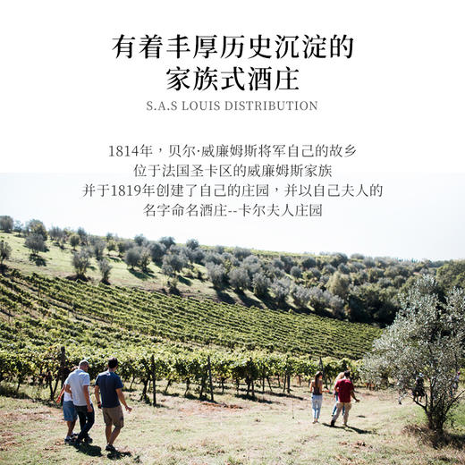 【科比埃15度AOP佳酿】卡尔夫人珍藏干红葡萄酒 法国 15%vol 商品图2