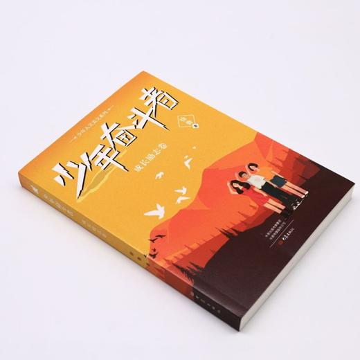 少年奋斗者(成长励志卷)/少年人文美文系列 商品图1