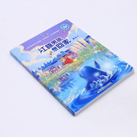江豚男孩想回家(浓情版徐玲亲情小说) 商品图1