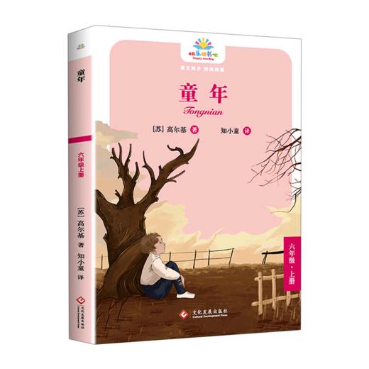 童年(6上)/快乐读书吧 商品图0