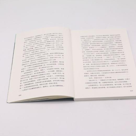 大地回声 商品图4