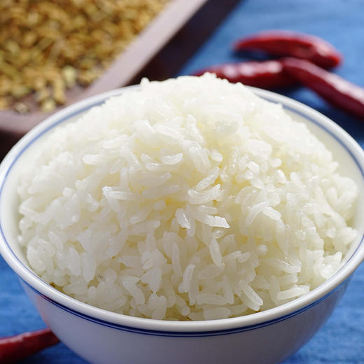 天野园·稻花香 5kg 新米 舒兰平安镇 稻花香2号 东北大米 真空包装 商品图4