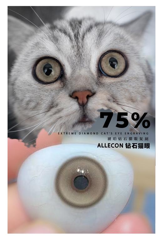 allecon 钻石猫眼棕 半年抛 2片14.0mm 着色13.4mm 基弧8.6 含水38% 韩国进口 商品图3