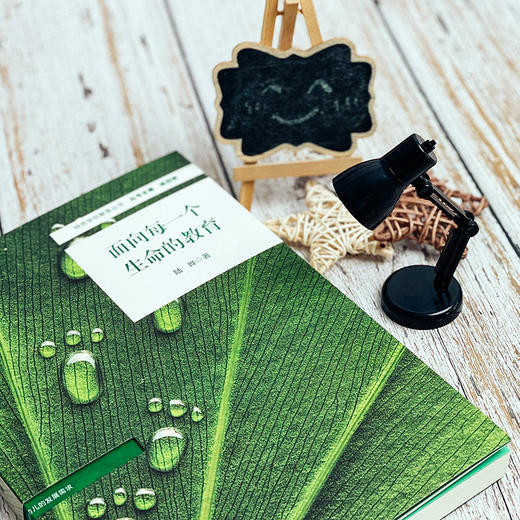 面向每一个生命的教育 特色学校聚焦丛书 园长用书 幼儿园管理 特色幼儿园办学 商品图4