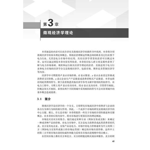 电力市场 理论与应用 商品图1