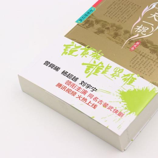 朝天一棍(第2卷全新修订版)/说英雄谁是英雄 商品图2