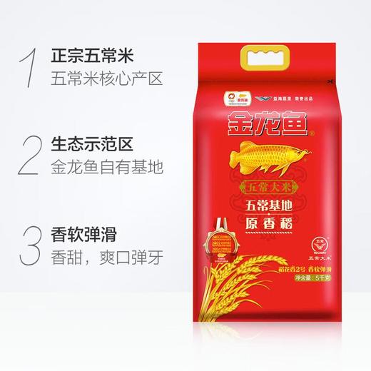 金龙鱼 原香稻东北大米 5000g/袋 商品图1