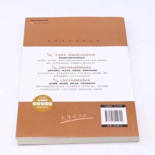 童年(名师精评思维导图版无障碍阅读)/经典文学名著金库 商品图3