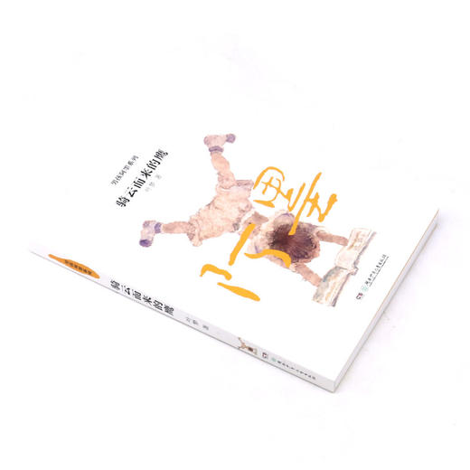 骑云而来的鹰/男孩阿墨系列 商品图1