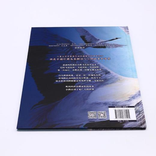丹顶鹤的旅程(精)/我的飞鸟朋友 商品图2