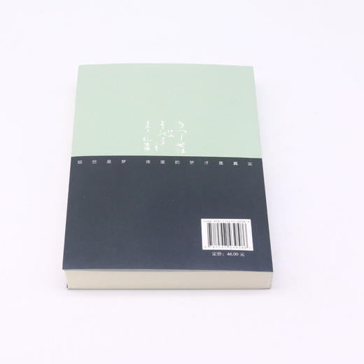 钟塔的秘密/明智小五郎系列/江户川乱步全集 商品图3