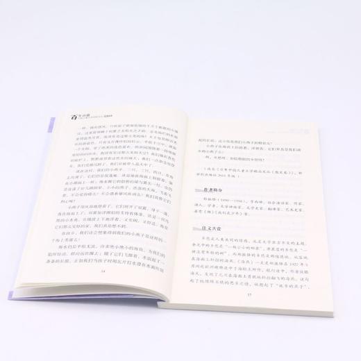 山野之魂/百年百篇中国儿童文学经典文丛 商品图4