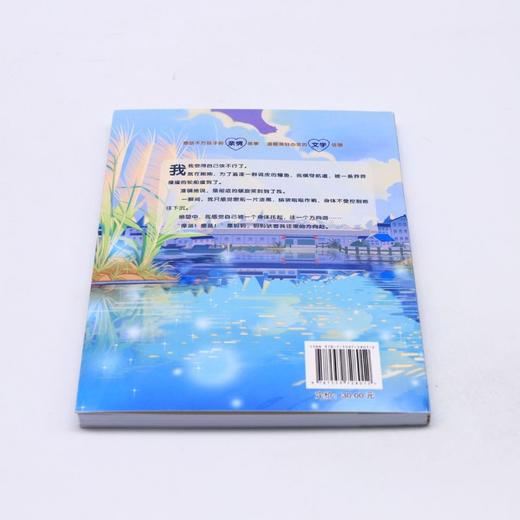 江豚男孩想回家(浓情版徐玲亲情小说) 商品图2